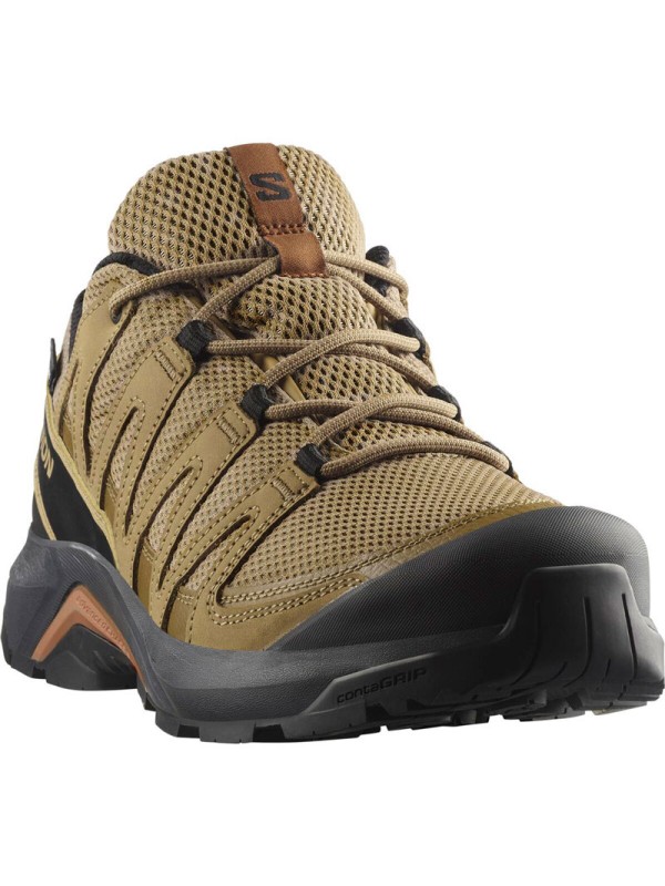 Moški pohodni čevlji Salomon X Adventure Recon GTX